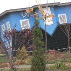 PA200958.JPG